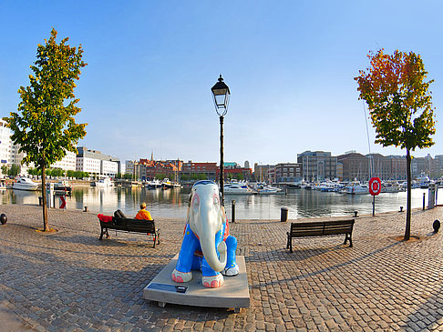 Antwerpen Fotografie Attraktion  