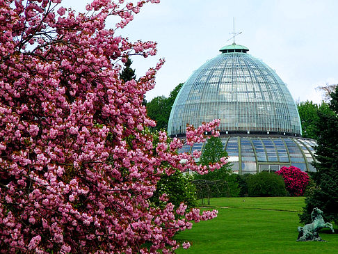 Park von Laken